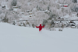 Simon Gerlinger – DIARY