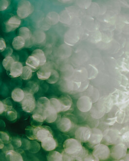 Simon Gerlinger – DIARY