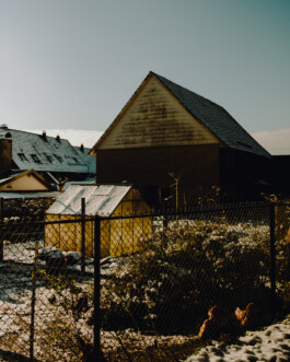 Simon Gerlinger – DIARY