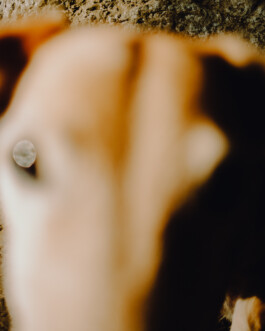 Simon Gerlinger – DIARY