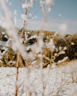 Simon Gerlinger – DIARY